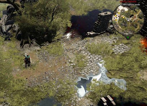 Divinity: Original Sin 2 - «Divinity: Original Sin 2»: Знаете ли вы, что...